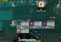 和平精英直装【水手】辅助透视自瞄