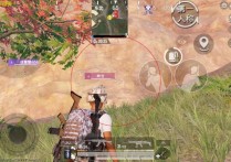 和平精英直装【冰龙】辅助透视自瞄