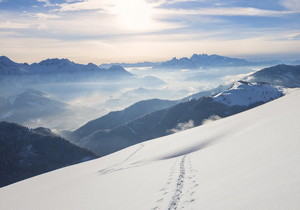 王者荣耀内部【Xiao Mi】全功能-自瞄版本